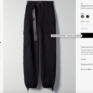 Aritzia Eagle Rock Cargo Pant